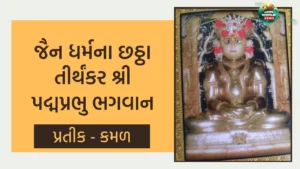 છઠ્ઠા તીર્થંકર